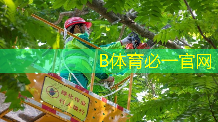 网球拍头贴会改变重量吗_