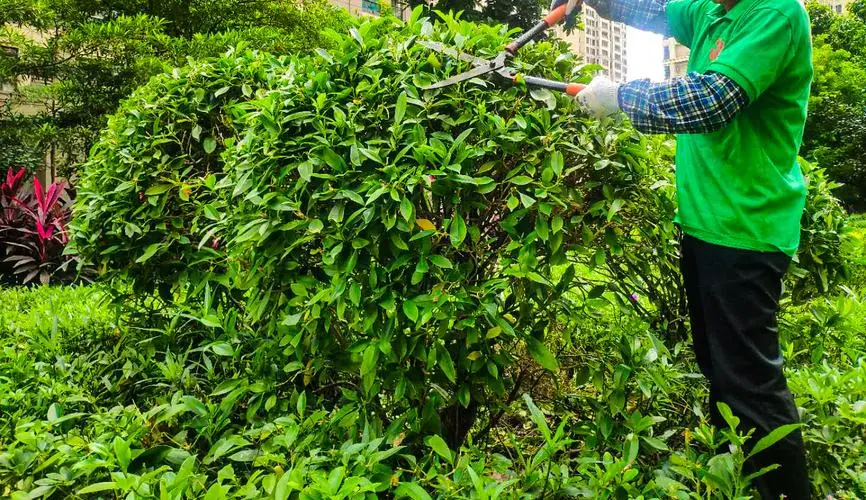 机场能带网球拍吗多少寸