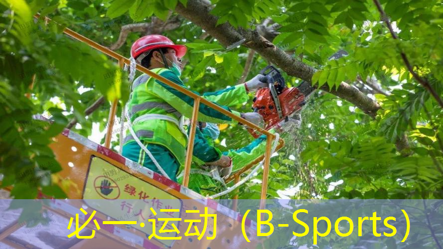 田径训练器材拉力板
