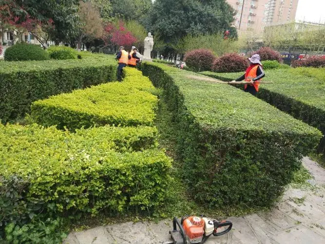 便宜训练器材推荐篮球鞋